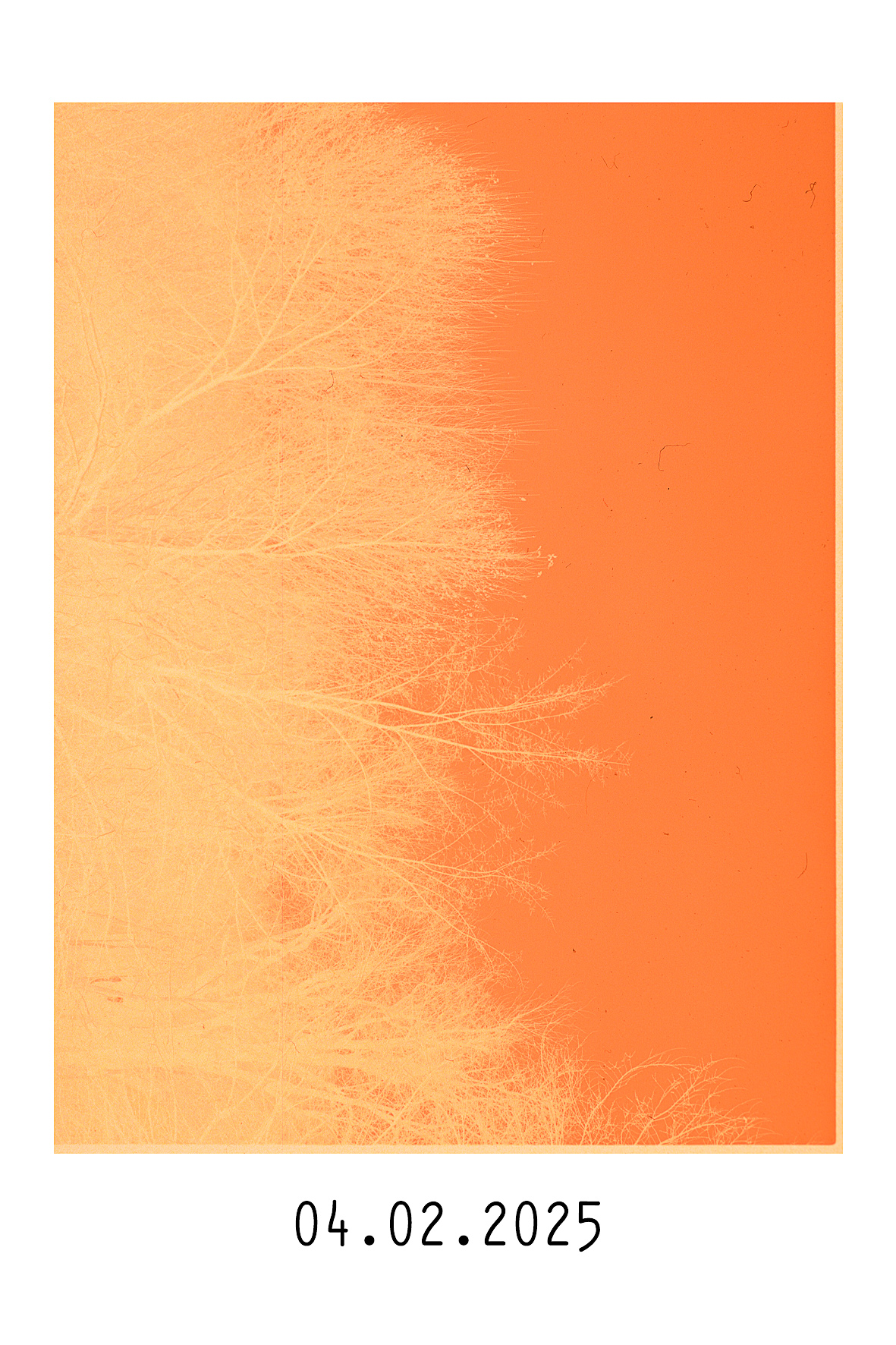 04.02.2025