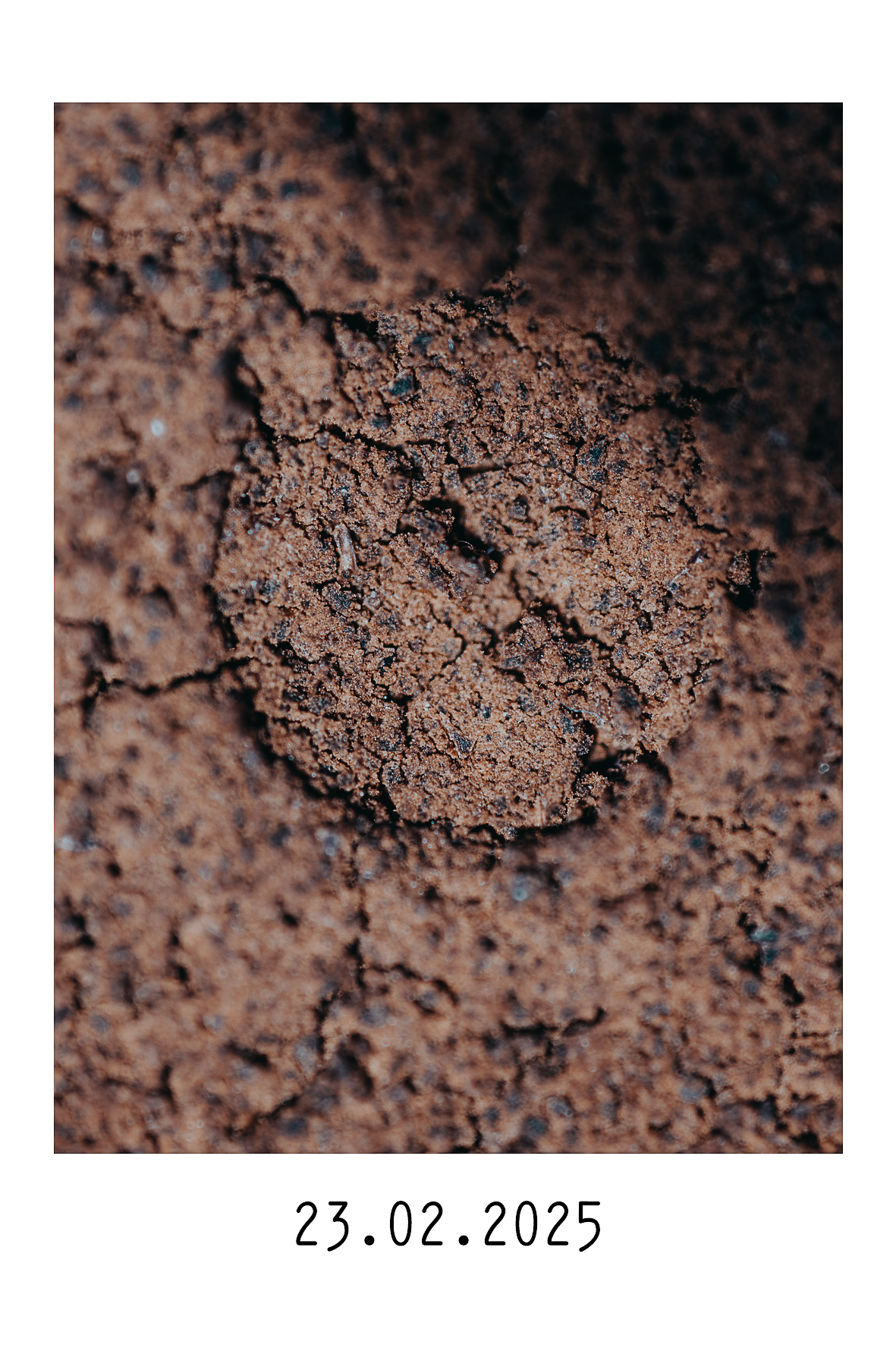 23.02.2025