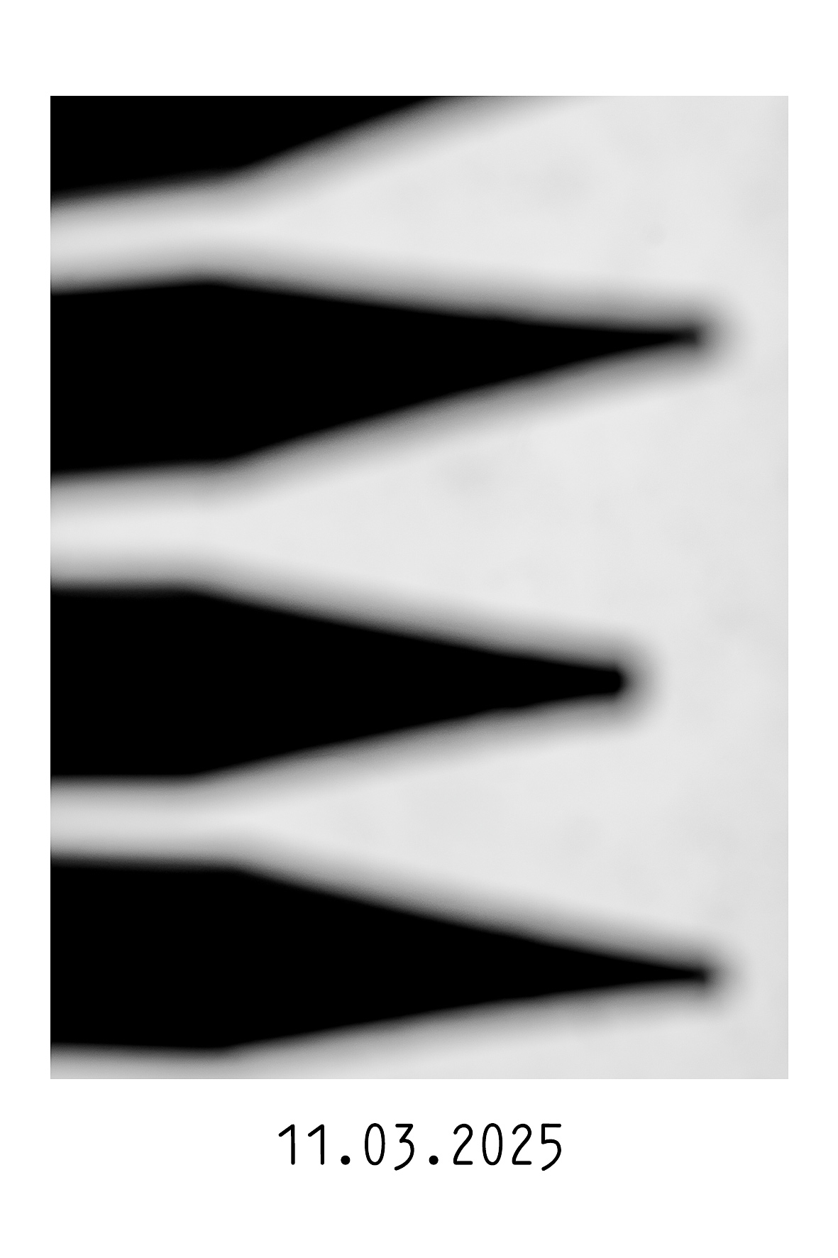 11.03.2025