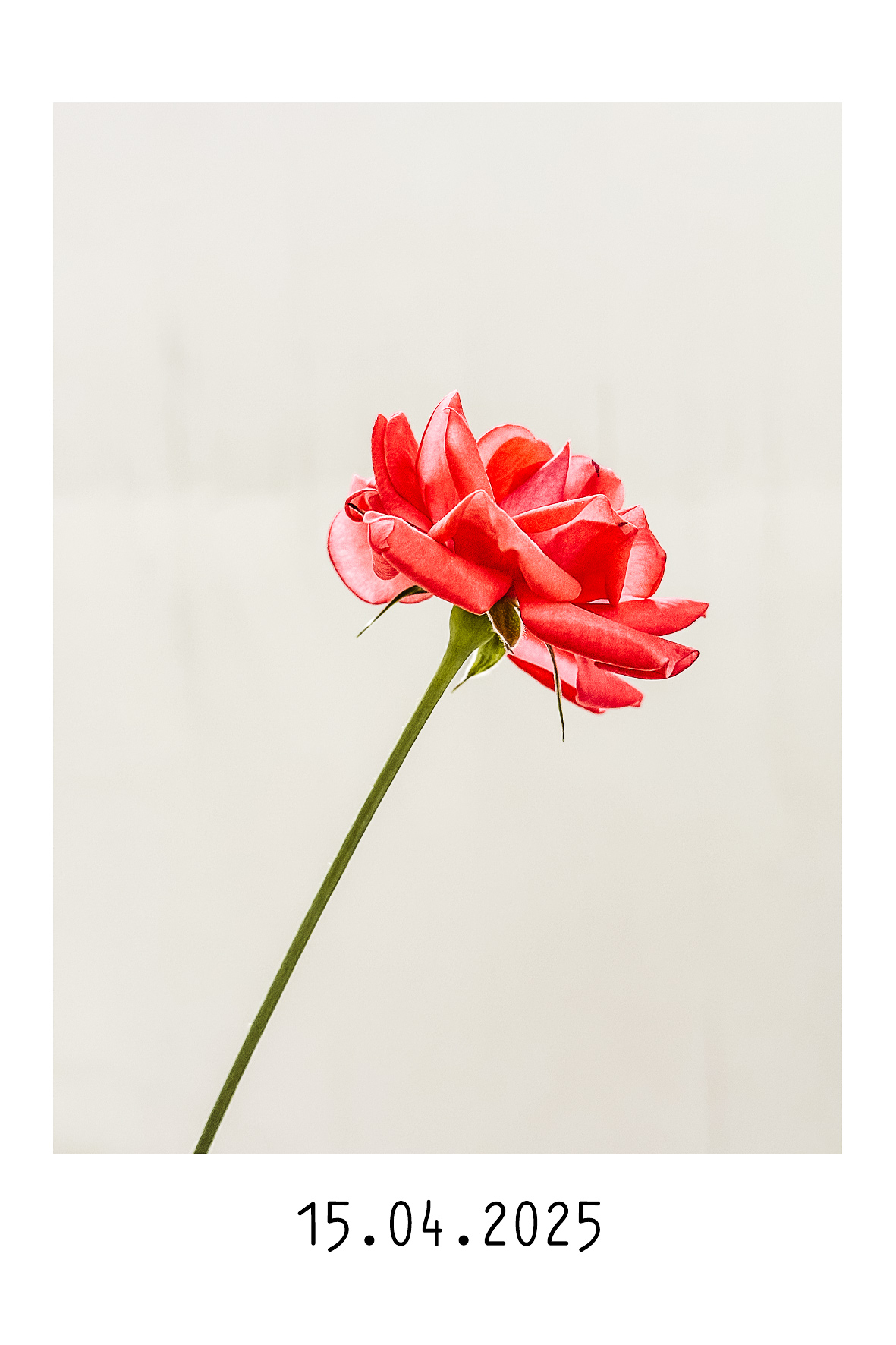 15.04.2025