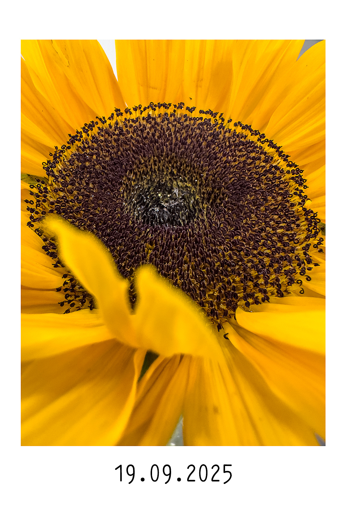 19.09.2025